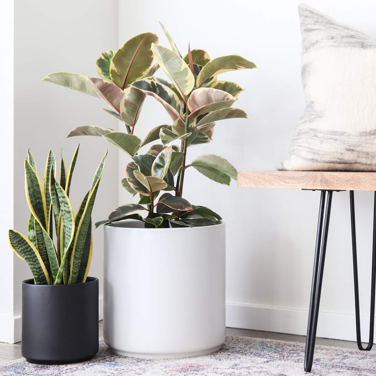 Ceramic Classic Planter - Medium (7")
