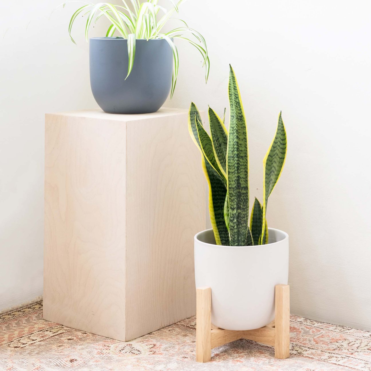 Ceramic Egg Planter - Medium (7")