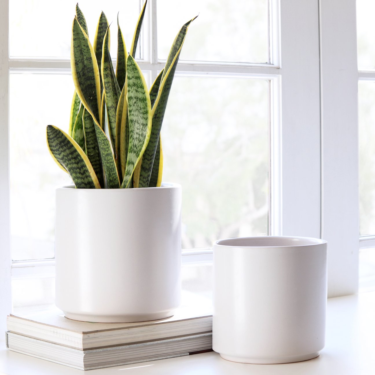 medium plant pots indoor Ceramic Classic Planter