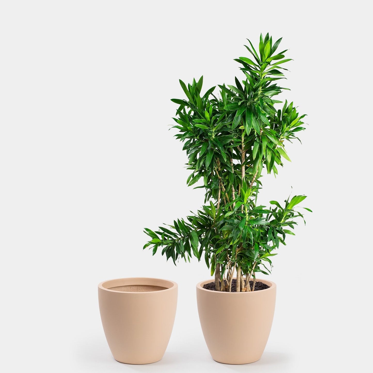 Kent Planter - Large & XL