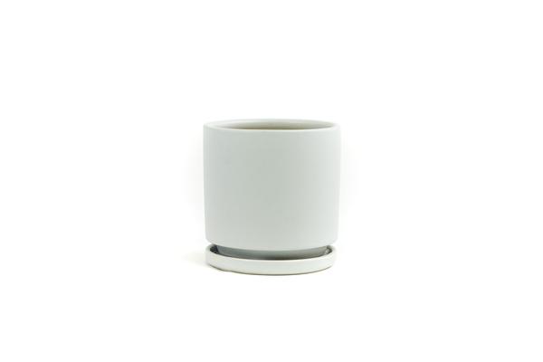 Cylinder Planter with Tray - Small (4.5")