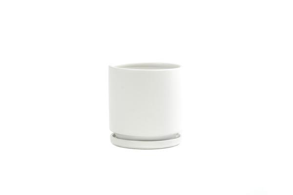 Cylinder Planter with Tray - Small (4.5")