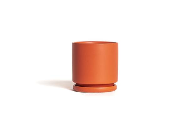 Cylinder Planter with Tray - Small (4.5")