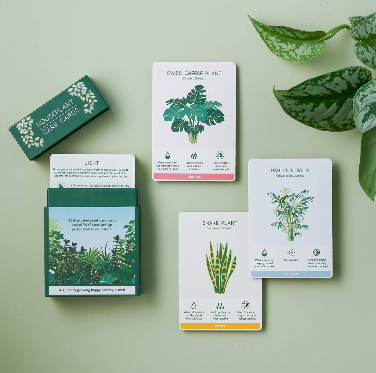 house plant care cards Houseplant Care Cards
