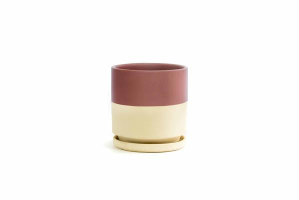 Cylinder Planter with Tray - Small (4.5")