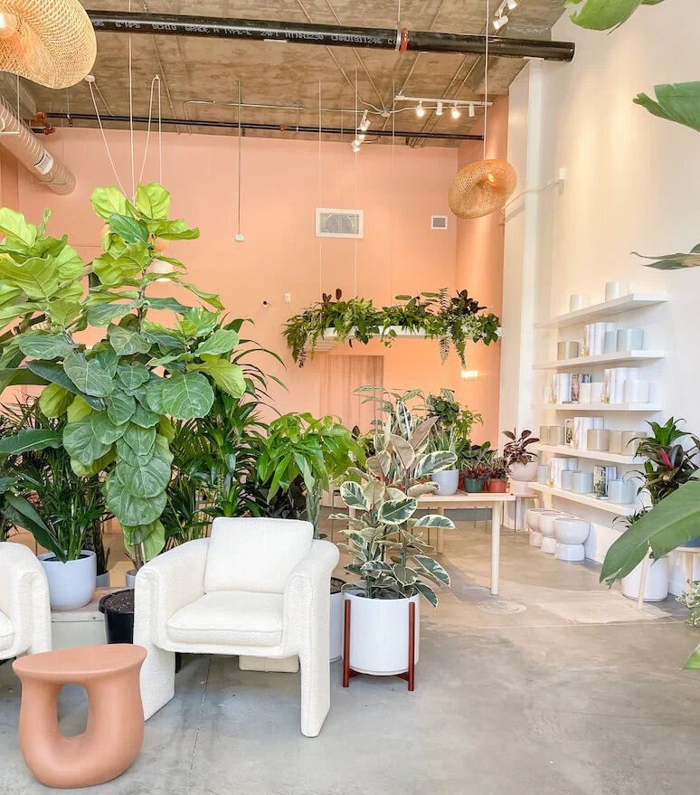 The Preserve's former shop interior, with peach walls, boucle chairs, and tall plants