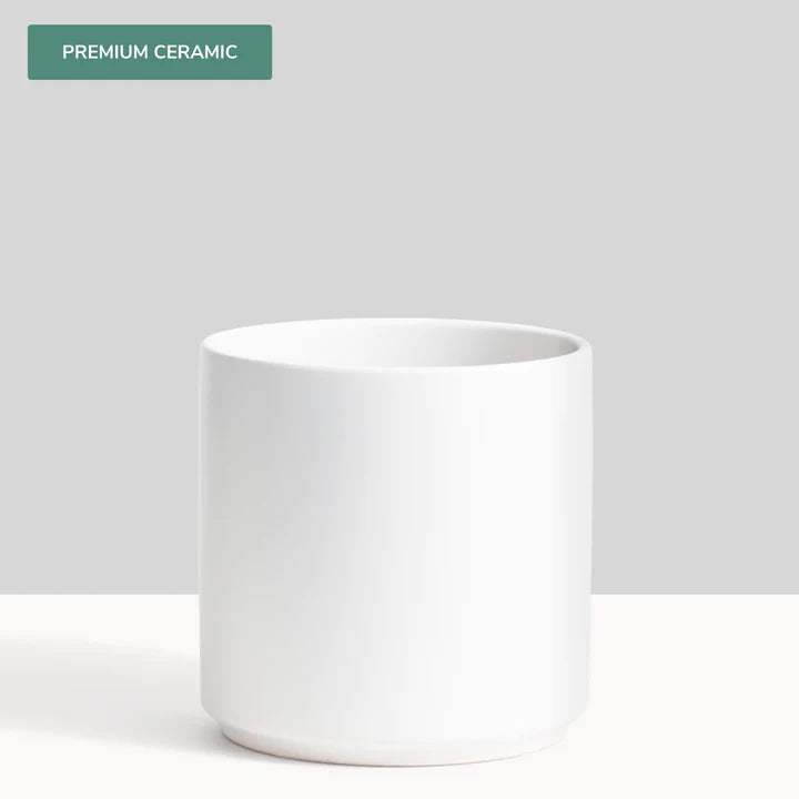 Ceramic Classic Planter - Large (15")