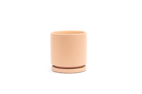 Cylinder Planter with Tray - Small (4.5")