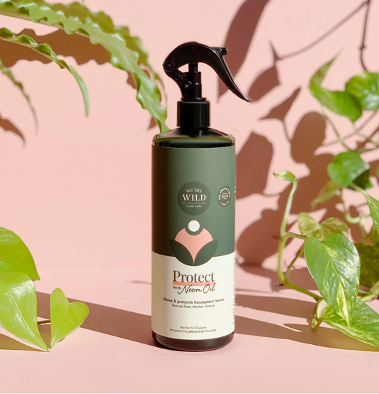Protect Spray