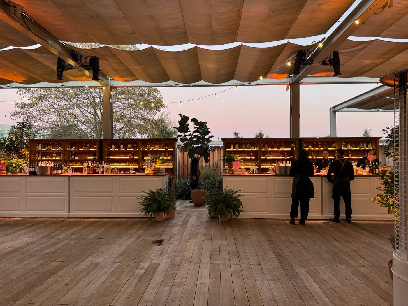 Two outdoor event bars with backlit bottle shelves at dusk, a tall fiddle-leaf fig between them and ferns at their bases