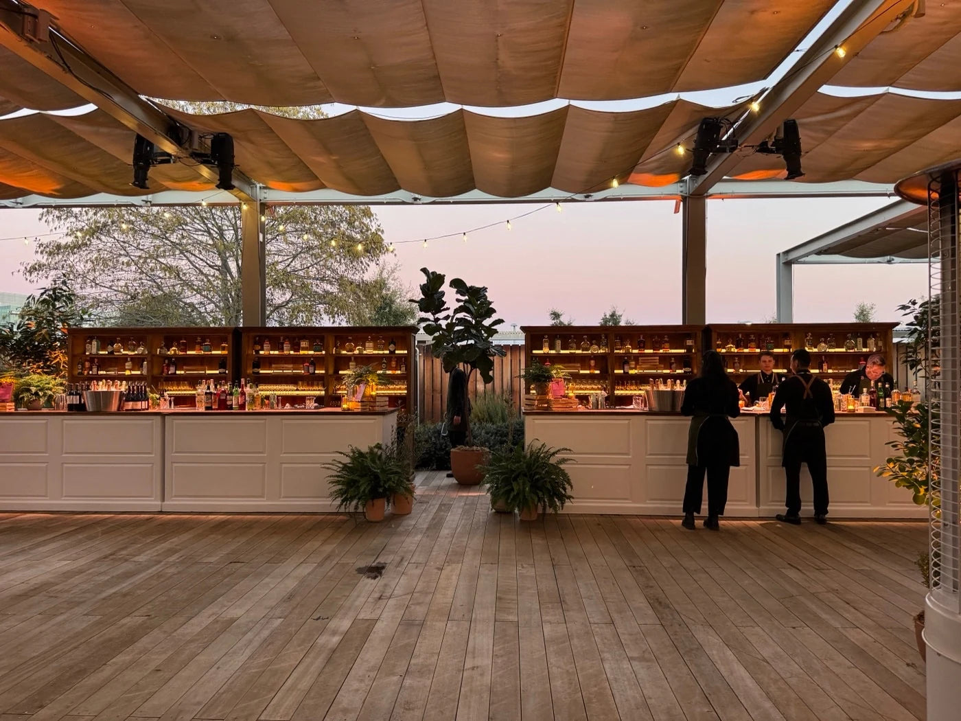 Outdoor event bars transformed with a tall fiddle-leaf fig and low ferns