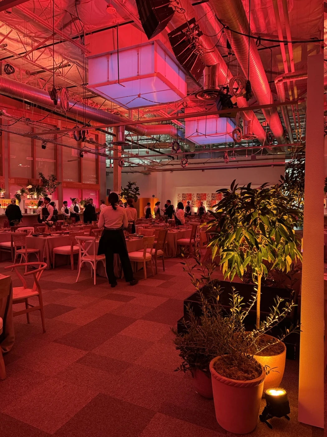 Red-lit corporate dinner transformed with a tall tree and smaller branching plants